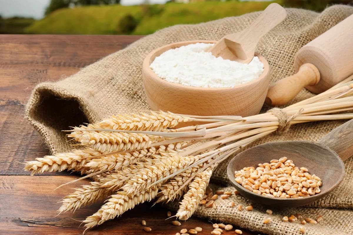 Le gluten est inflammatoire, même si on n'est pas cœliaque