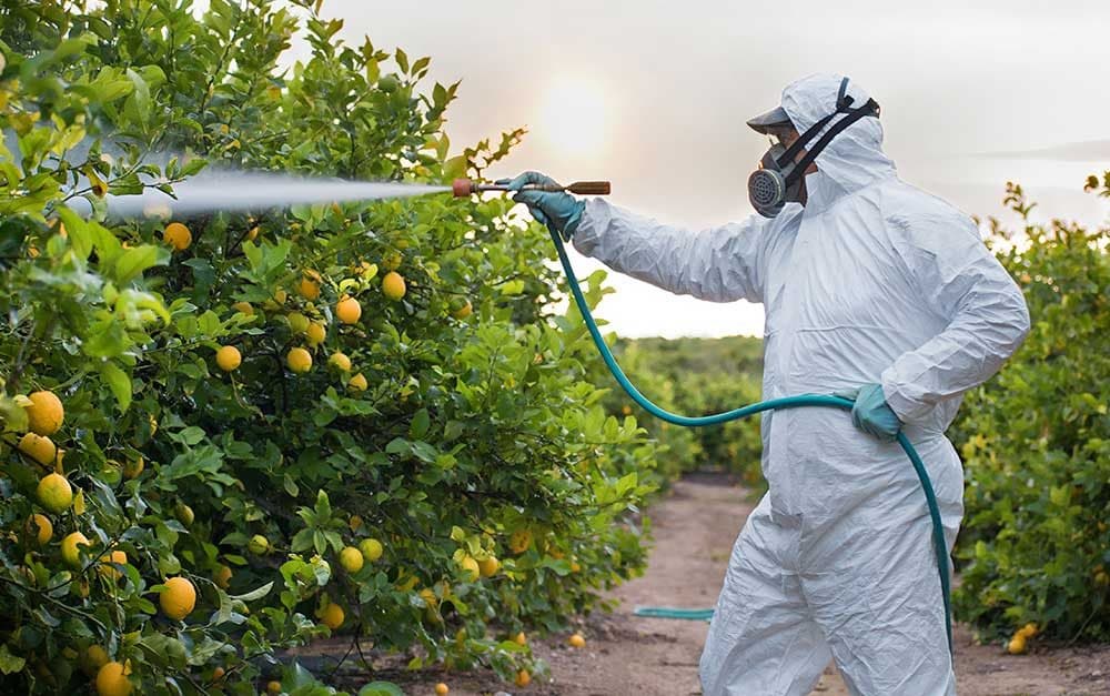 Les pesticides sont du venin synthétique